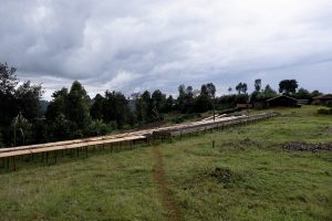 مزرعه کامونیاکا